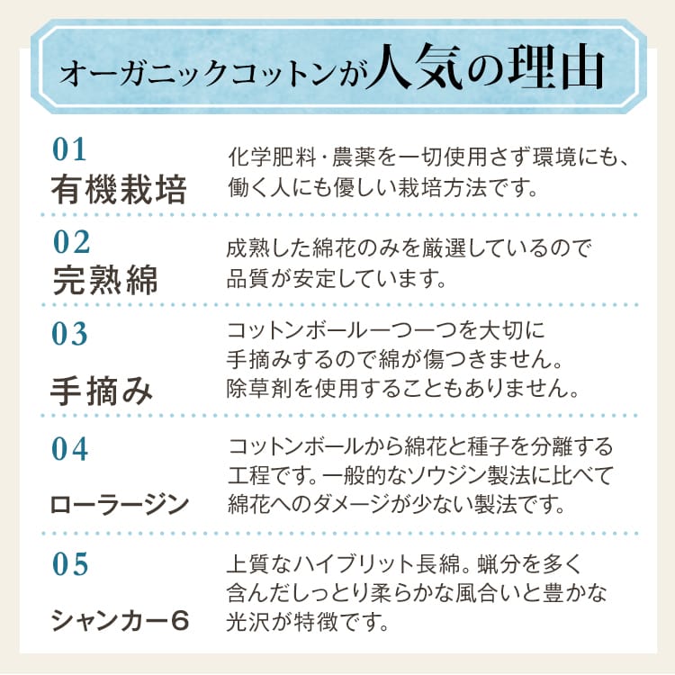 オーガニックコットン 和晒し 抱き枕