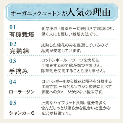 オーガニックコットン 和晒し 抱き枕
